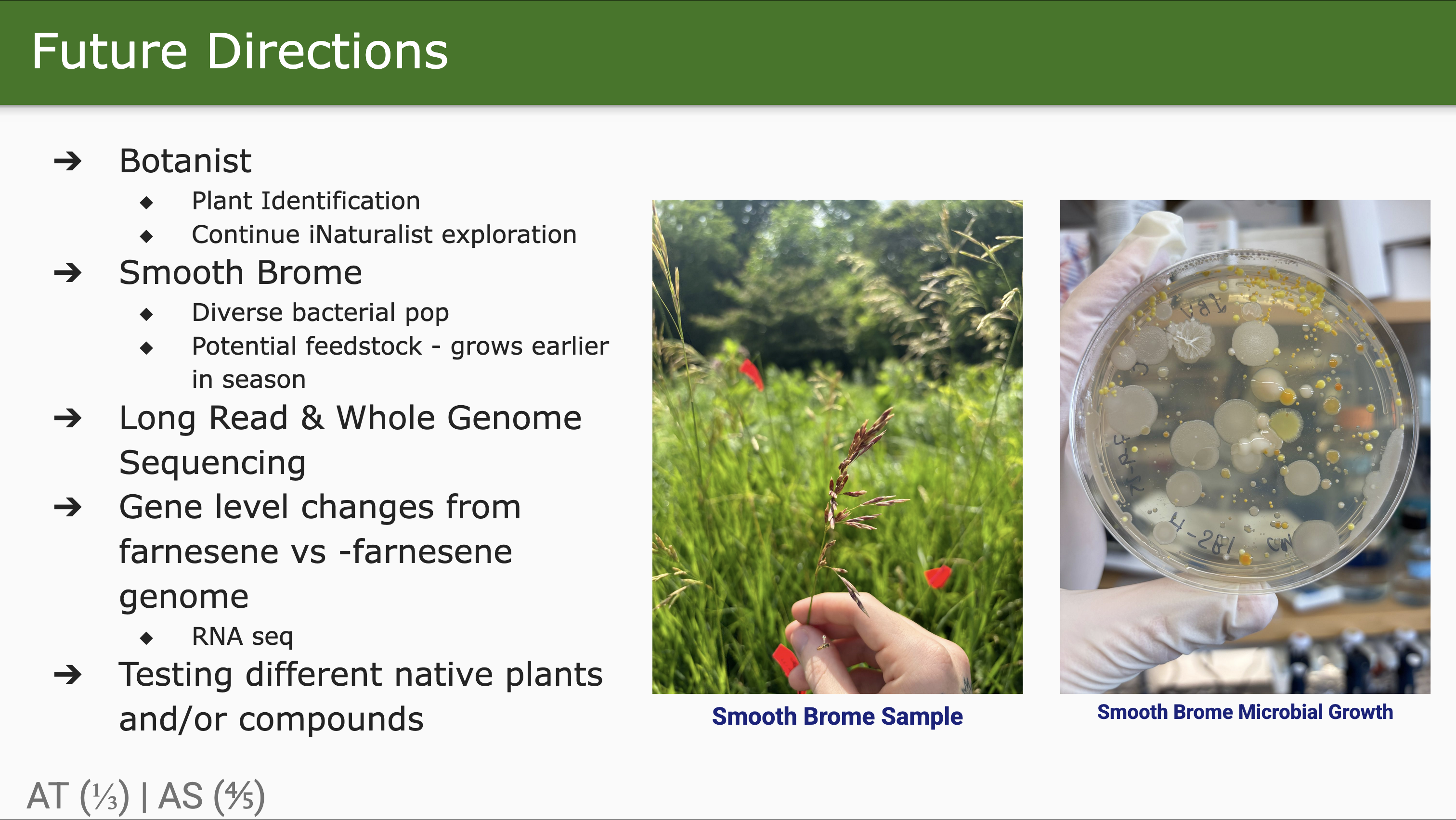 Slide 33